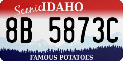ID license plate 8B5873C