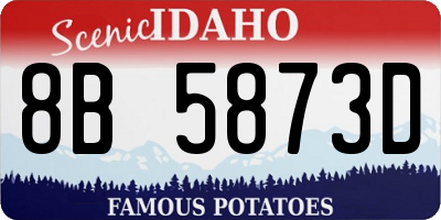 ID license plate 8B5873D