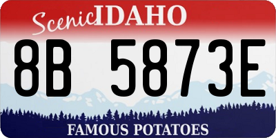 ID license plate 8B5873E