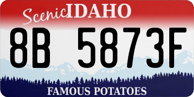 ID license plate 8B5873F