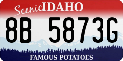ID license plate 8B5873G