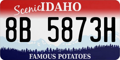 ID license plate 8B5873H