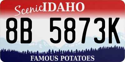 ID license plate 8B5873K