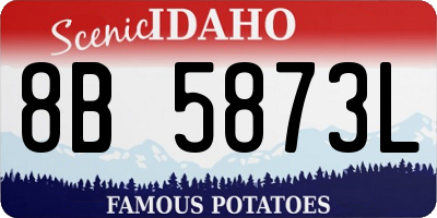 ID license plate 8B5873L