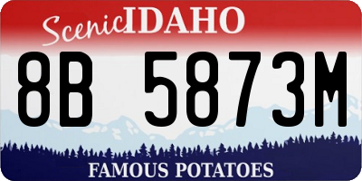 ID license plate 8B5873M