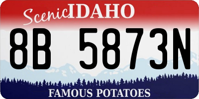 ID license plate 8B5873N