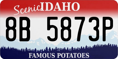 ID license plate 8B5873P