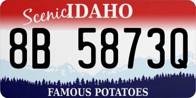 ID license plate 8B5873Q