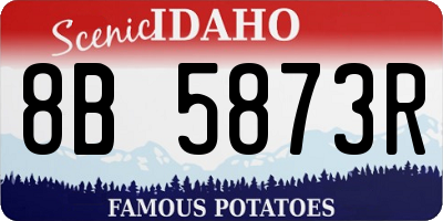 ID license plate 8B5873R