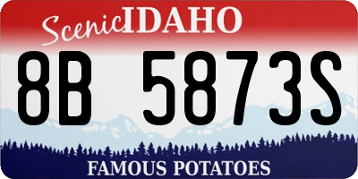 ID license plate 8B5873S