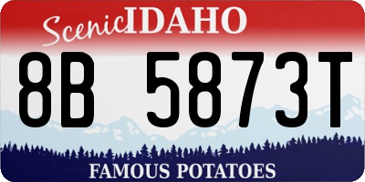 ID license plate 8B5873T