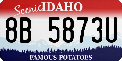 ID license plate 8B5873U