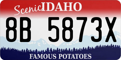 ID license plate 8B5873X