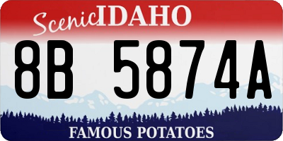 ID license plate 8B5874A