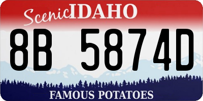 ID license plate 8B5874D
