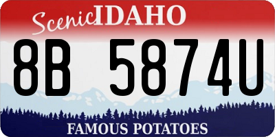 ID license plate 8B5874U
