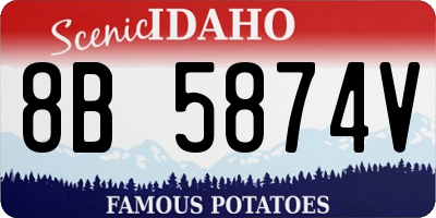 ID license plate 8B5874V