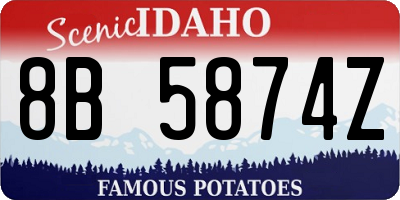 ID license plate 8B5874Z