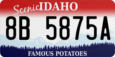 ID license plate 8B5875A