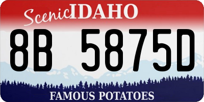 ID license plate 8B5875D