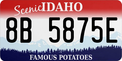 ID license plate 8B5875E