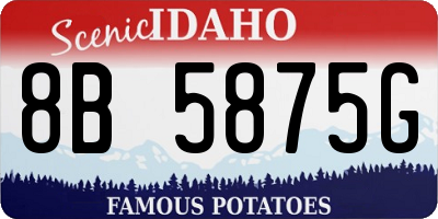 ID license plate 8B5875G