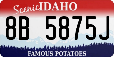 ID license plate 8B5875J