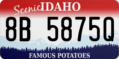 ID license plate 8B5875Q