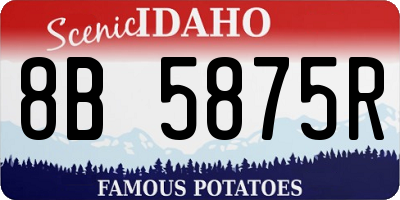 ID license plate 8B5875R