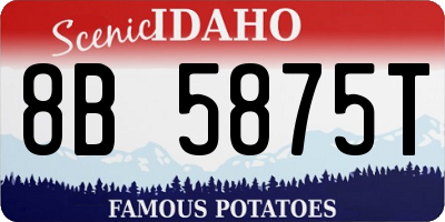 ID license plate 8B5875T