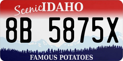 ID license plate 8B5875X