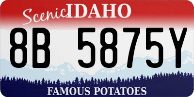 ID license plate 8B5875Y