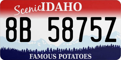 ID license plate 8B5875Z