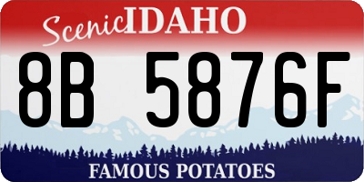 ID license plate 8B5876F