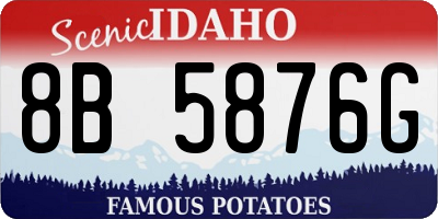 ID license plate 8B5876G