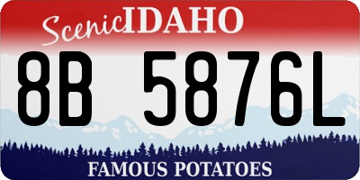 ID license plate 8B5876L
