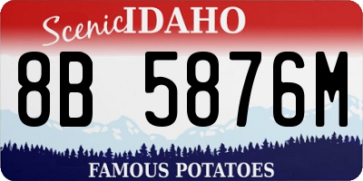 ID license plate 8B5876M