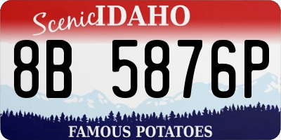 ID license plate 8B5876P