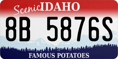 ID license plate 8B5876S