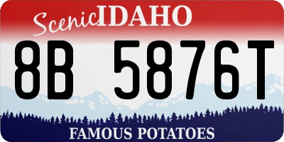 ID license plate 8B5876T