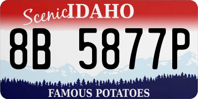ID license plate 8B5877P