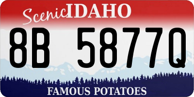 ID license plate 8B5877Q