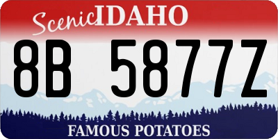 ID license plate 8B5877Z