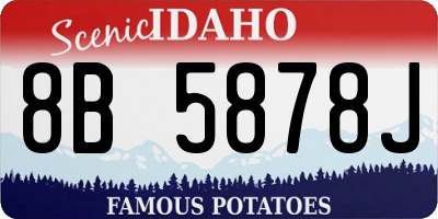 ID license plate 8B5878J