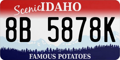 ID license plate 8B5878K
