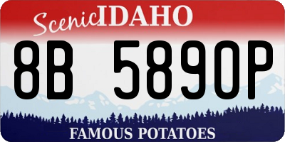 ID license plate 8B5890P