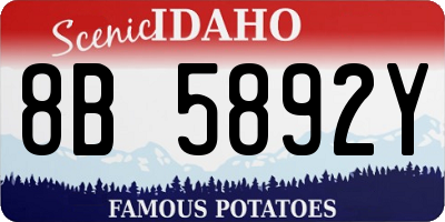 ID license plate 8B5892Y
