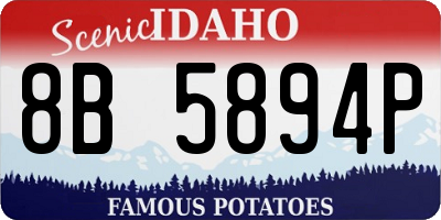 ID license plate 8B5894P