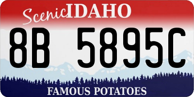 ID license plate 8B5895C