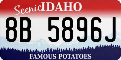 ID license plate 8B5896J